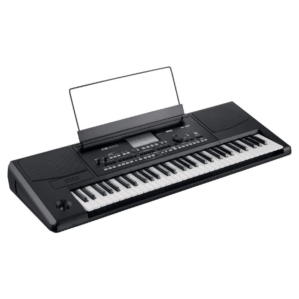 Professional musician playing the KORG Pa300 Arranger Keyboard on stage