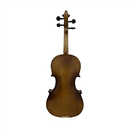 Handcrafted VIOLIN STENTOR 1016A 4/4 showcasing spruce top and maple back