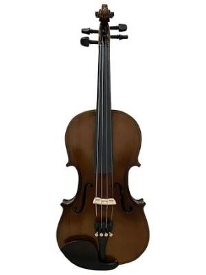 Premium Stentor 1016A 4/4 violin for beginners and professionals