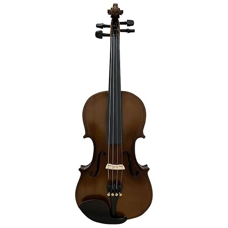 Premium Stentor 1016A 4/4 violin for beginners and professionals